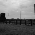 Majdanek - dráty a strážní věže